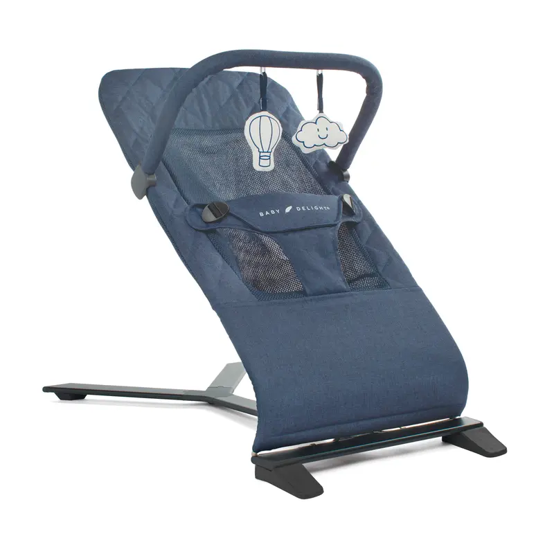 Alpine Deluxe Portable Bouncer For Infants 1