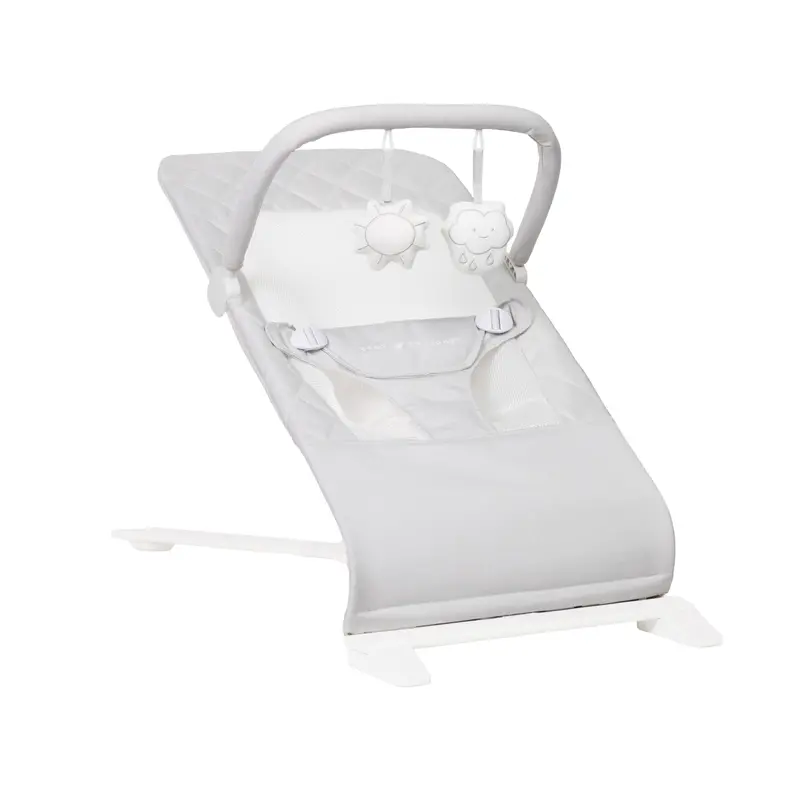 Alpine Deluxe Portable Bouncer With Soothing Motion Settings 1