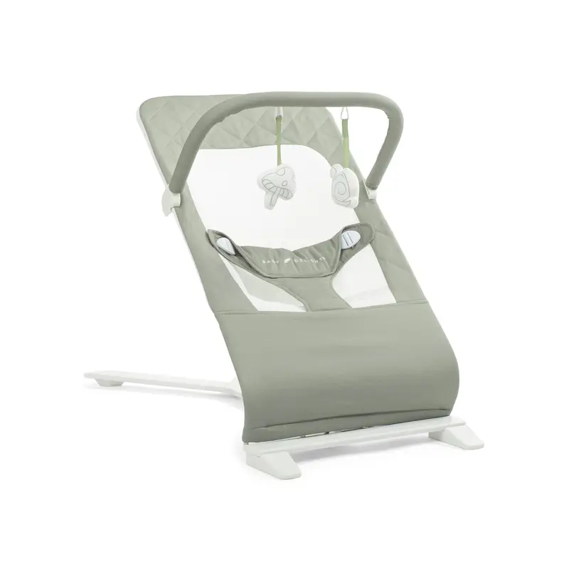 Alpine Organic Deluxe Bouncer With Multi-Position Recline 1