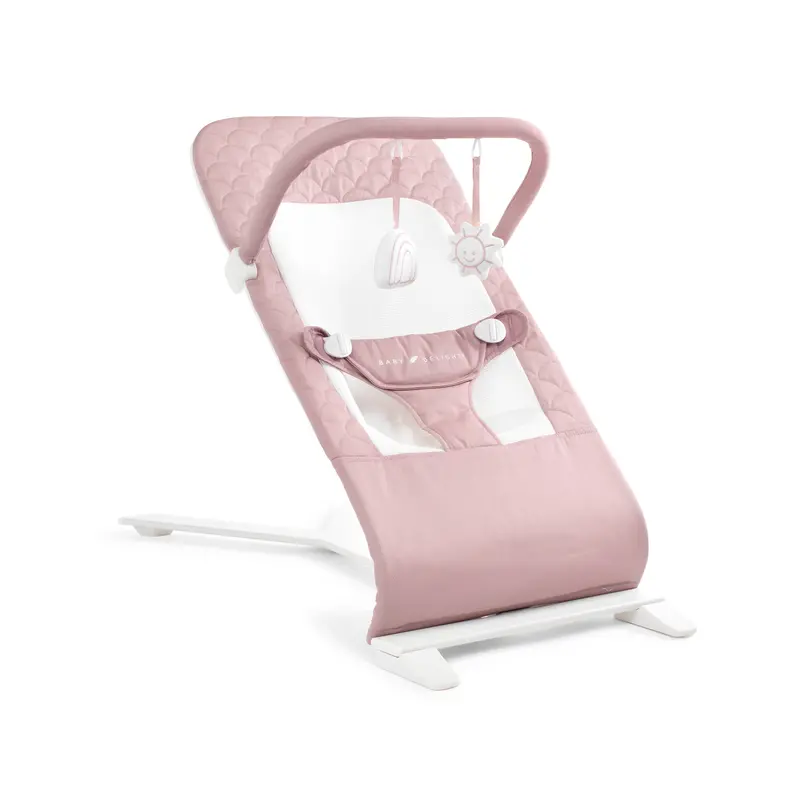 Alpine Premium Portable Bouncer With Soft Organic Upholstery 1