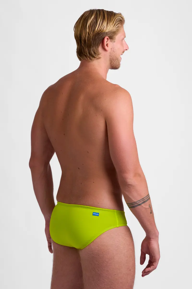 Brolyn Gecko Print Swim Brief For Men 1