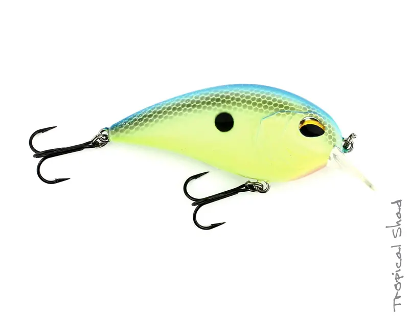 Cd2 Square Bill Crankbait – Shallow Runner 8