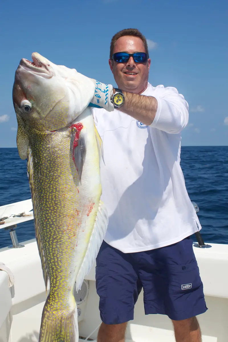Daiwa 2026 Seaborg 500J Tilefish Bundle – Complete Rig Setup With Rod, Reel & Accessories 4