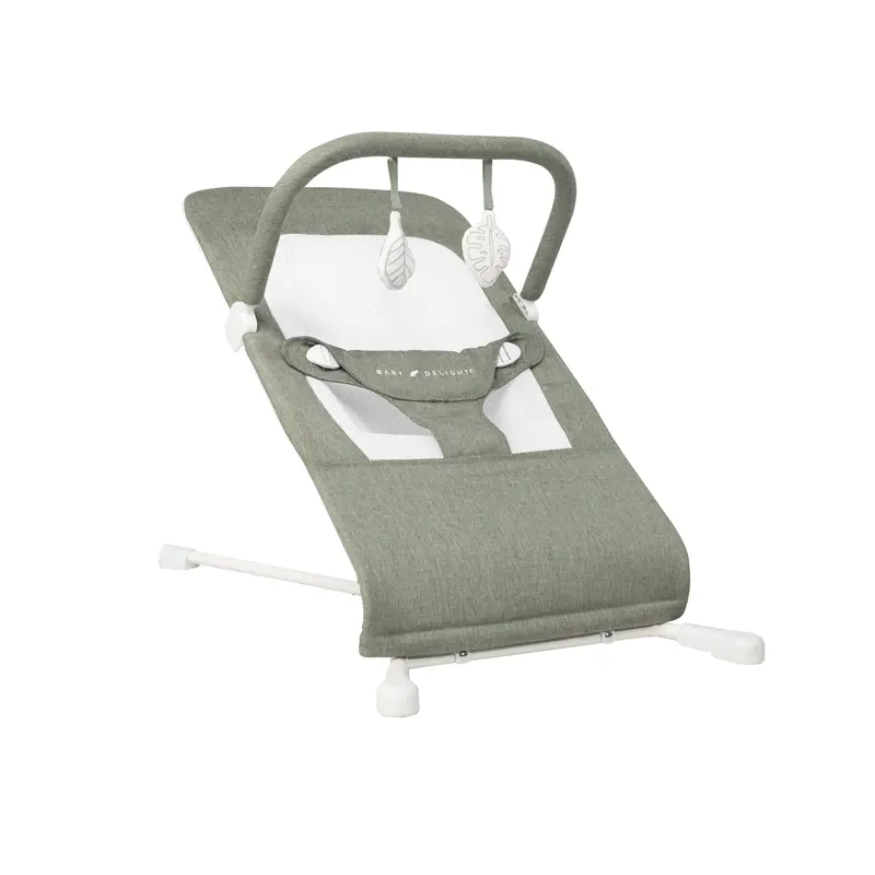 Highland Foldable Baby Bouncer With Adjustable Seat 1