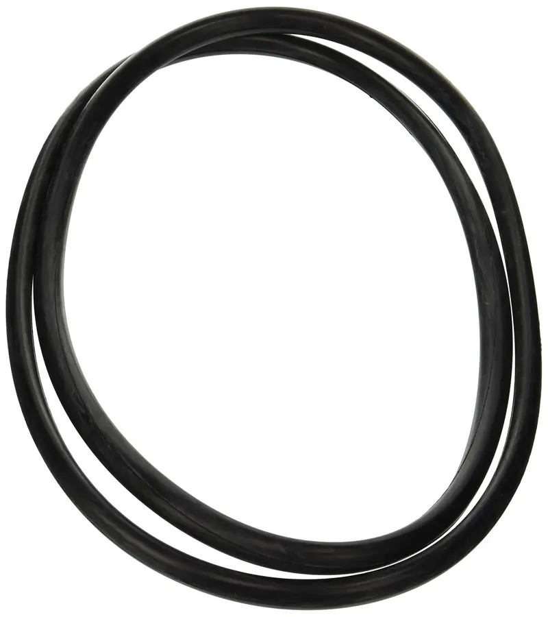 Jandy Pro Series Center Strap O-Ring For Sand Filters – R0357800 1