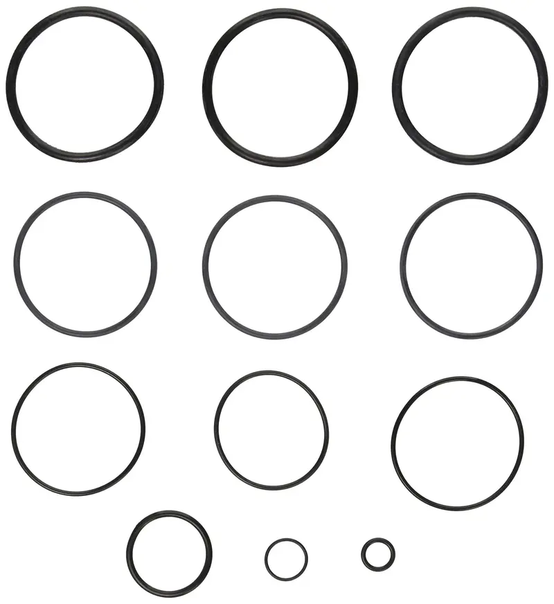 Jandy Pro Series Filter O-Ring Replacement Kit – R0358000 1