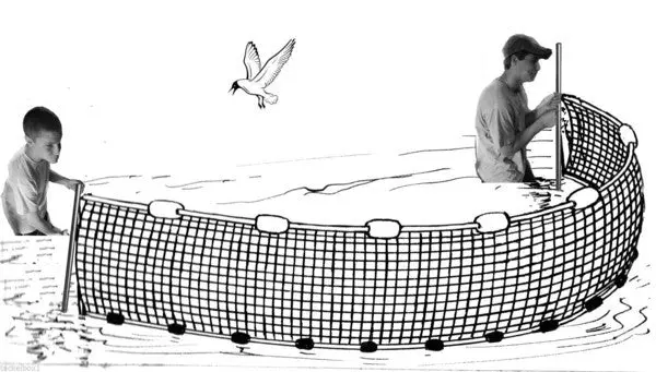 Ranger 4 Ft × 25 Ft Seine Net For Minnow Collection 1