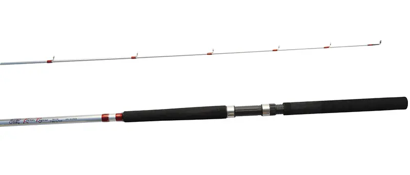 Silver Pro Series Jigging Rod For Deep Water 1