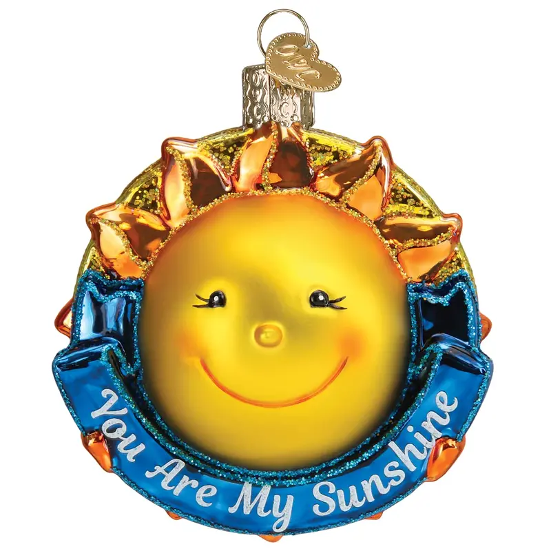'You Are My Sunshine' Hand-Blown Glass Christmas Ornament – Old World Christmas Musical Lyric Decor 1
